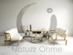 Natuzz Minimalist Photoroom