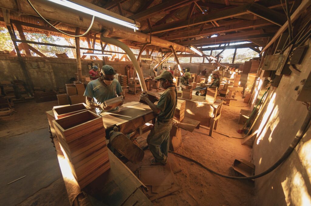 wood factory, pabrik kayu