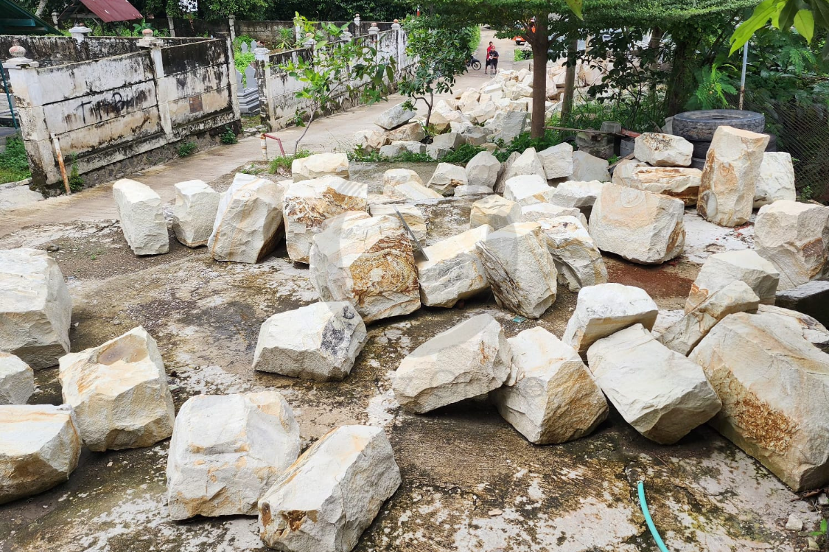 petrified wood sustainable material